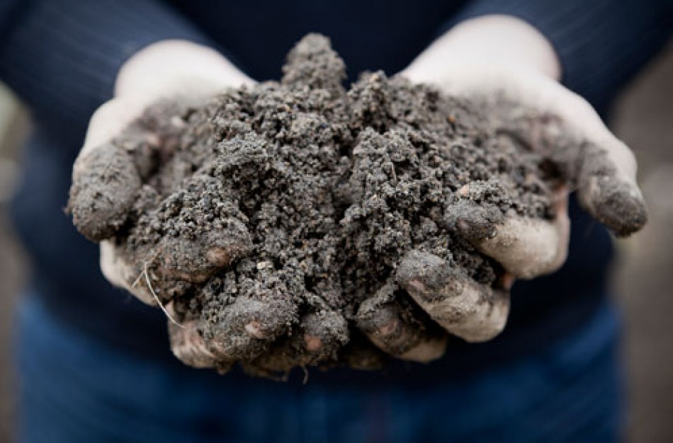 Sodininkystės sezonui įsibėgėjant – saugokitės stabligės: pataria, kaip prižiūrėti žaizdą