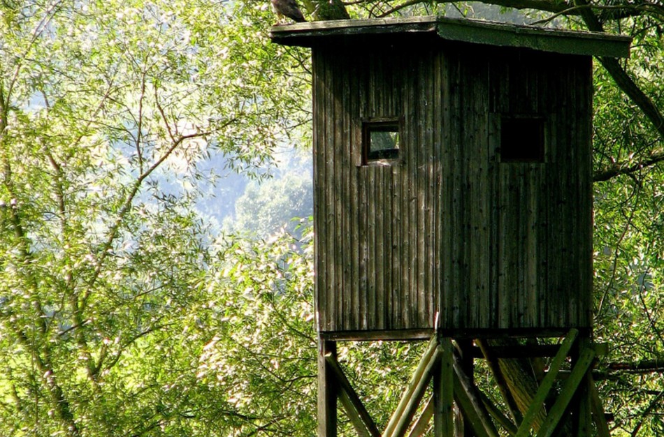 Medžiotojų bilietai bus skaitmeniniai, reglamentuojamas naktinių taikiklių naudojimas