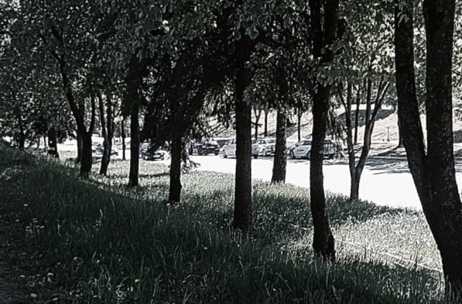 Pareigūnai Kaune bei Jonavoje patikrino daugiau nei 4,7 tūkst. transporto priemonių