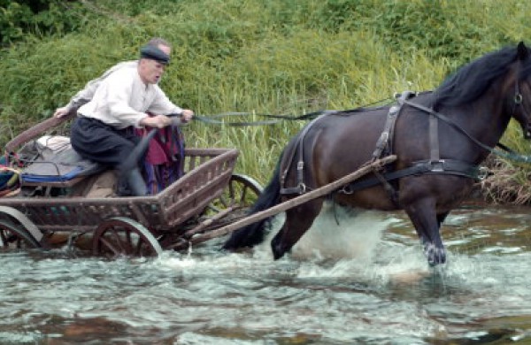 Iš Šilalės į Anykščius riedantys žemaitukų kinkiniai – galimybė prisiliesti prie mūsų istorijos