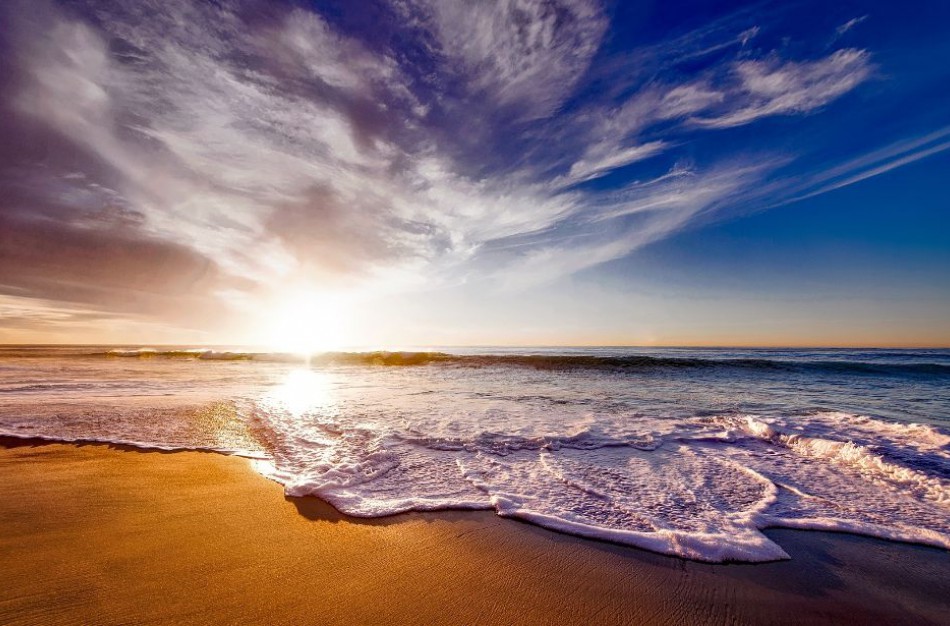 VDI informuoja: viskas, ką reikia žinoti apie nemokamas atostogas