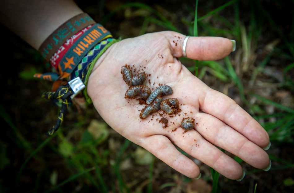 Iš Lietuvos zoologijos sodo iškeliavo net 200 gyvūnų