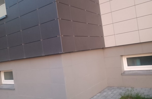 Rimkų seniūnaitijos seniūnaitė dalinasi šiurpia istorija ir kraupiais vaizdais: aptikti nugaišę čiurliai