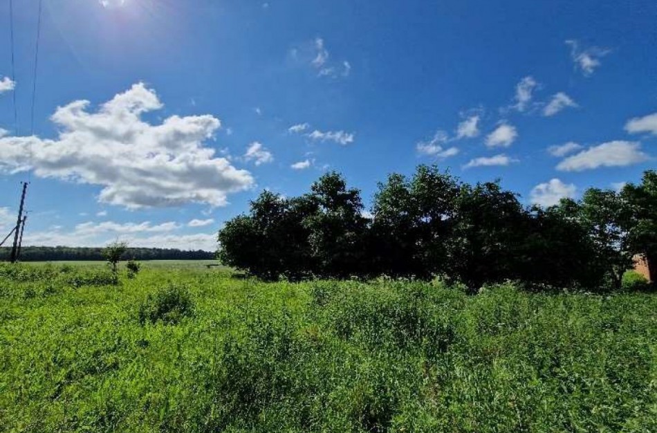 Sudarytas apleistų Jonavos rajono sklypų sąrašas, nesusitvarkius lauks didesnis mokesčio tarifas