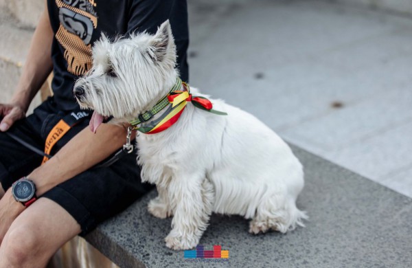 Liepos 6-oji, visai Lietuvai svarbi diena