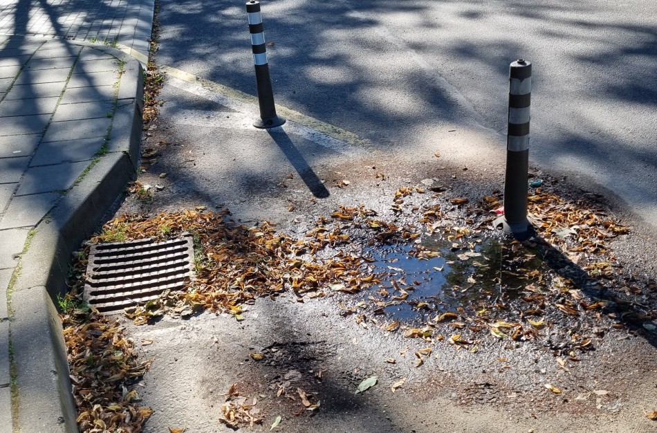 Geologas: išvengti duobėtų gatvių ir šaligatvių nesudėtinga 