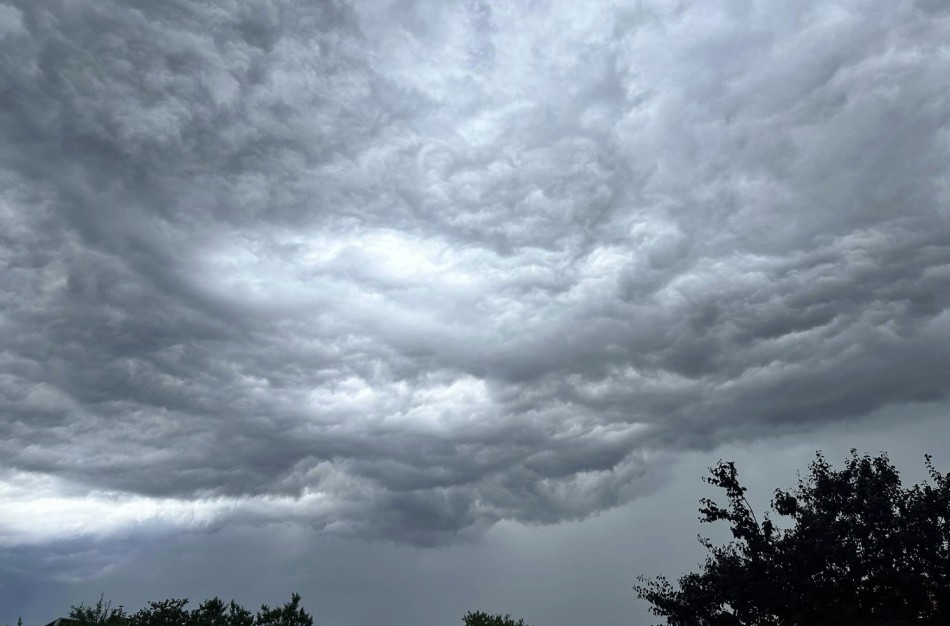 Vakarykštė audra vartė medžius: ugniagesiai skubėjo į Šilų, Žeimių ir Šveicarijos seniūnijas
