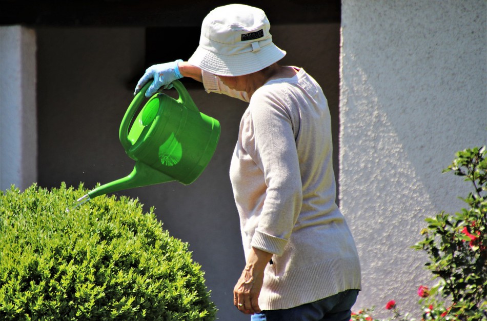 Vyresnių žmonių užimtumas Lietuvoje – vienas didžiausių Europoje 