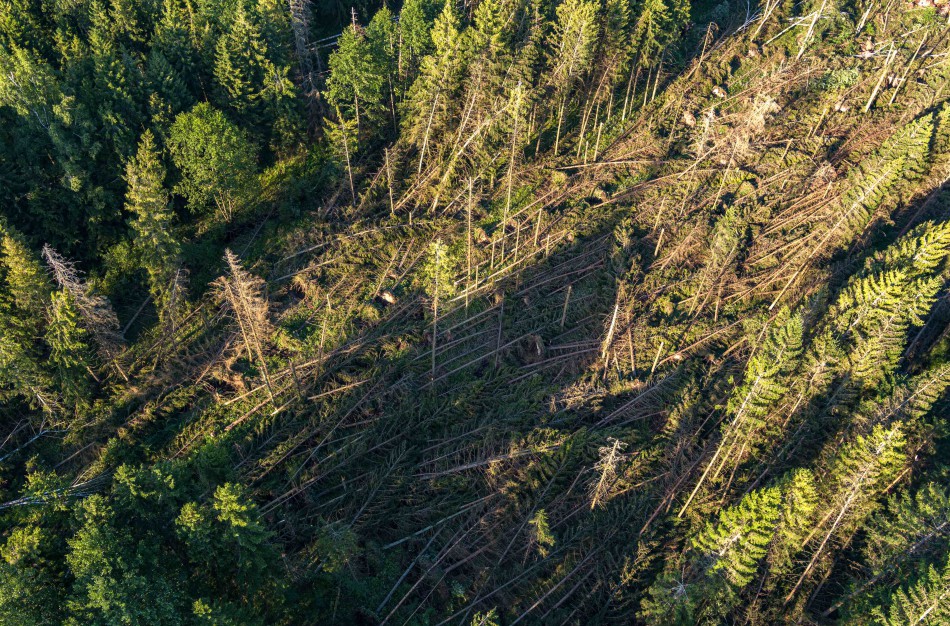 Miškininkai intensyviai tvarko audros padarinius - į pagalbą pasitelkti kelininkai ir ugniagesiai