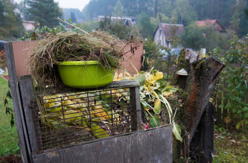 Bus skatinamas namudinis kompostavimas - į paramą galės pretenduoti savivaldybės