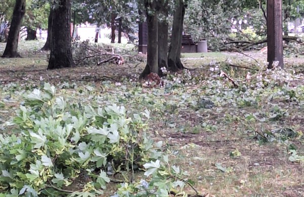 Audra talžo Jonavą - ugniagesiai dirba be perstojo, žmonės fiksuoja padarinius (nuolat atnaujinama)