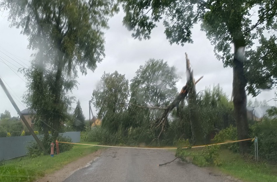 Atnaujinta ESO informacija - Jonavos rajone elektros neturi 3872 klientai, prašoma kantrybės