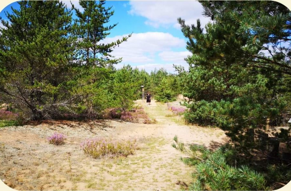 Ką veikti savaitgalį Jonavoje (rugpjūčio 2-4 d.)?