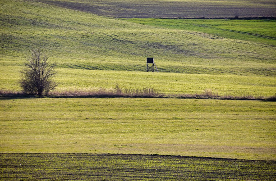 Aplinkos ministerija: medžiotojams jau prieinami skaitmeniniai bilietai