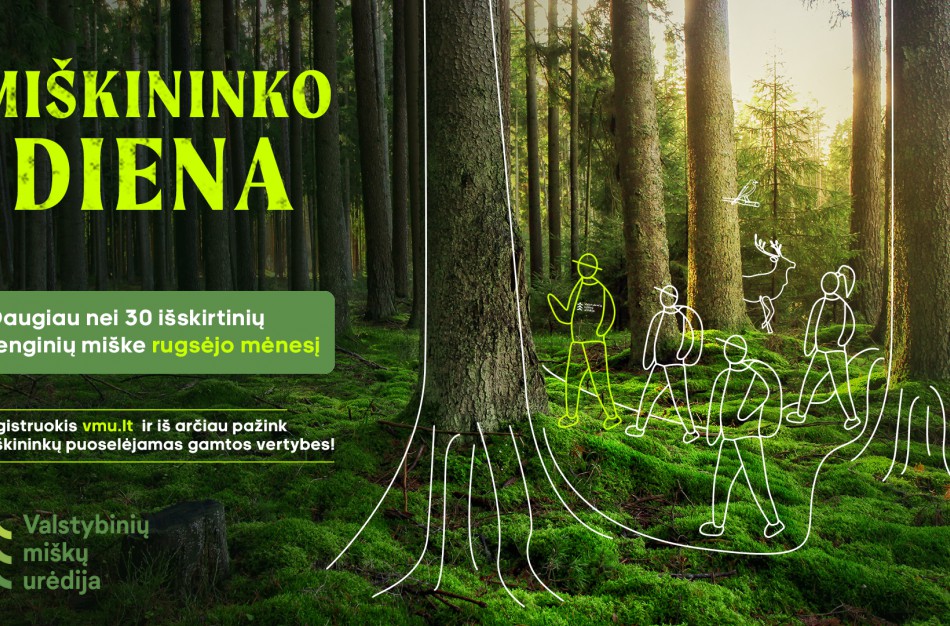 Pažintis su miškininkų saugomomis gamtos vertybėmis – rugsėjį į miškus kviečia daugiau nei 30 unikalių Miškininko dienos renginių