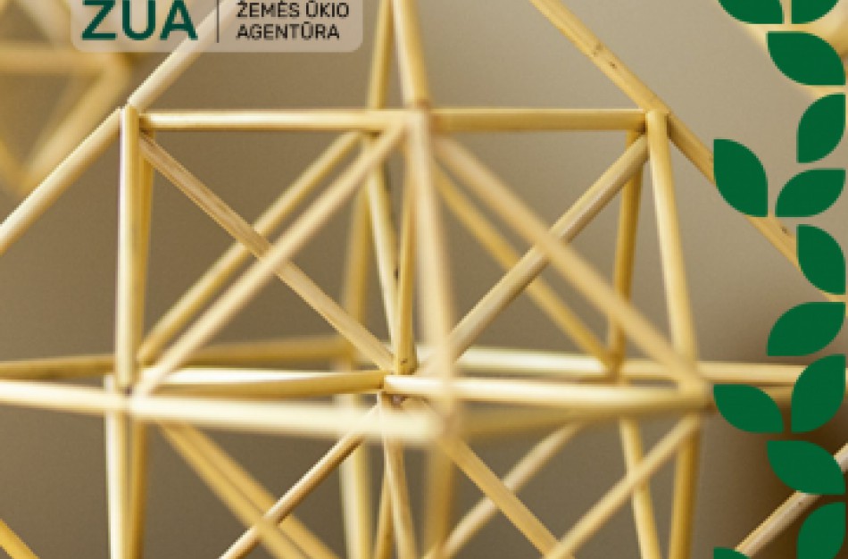 Konkursas amatininkų ir tradicinių amatų centrų premijoms gauti