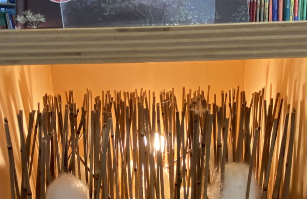 Literatūrinis pojūčių salonas Rimkų bibliotekoje 