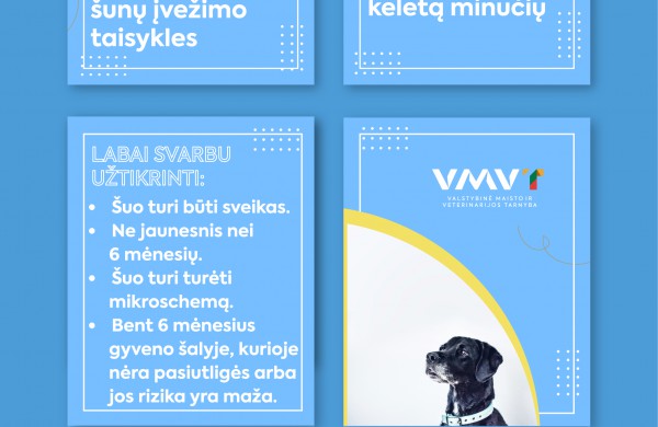 Atnaujintos šunų įvežimo taisyklės į JAV: ką reikia žinoti?