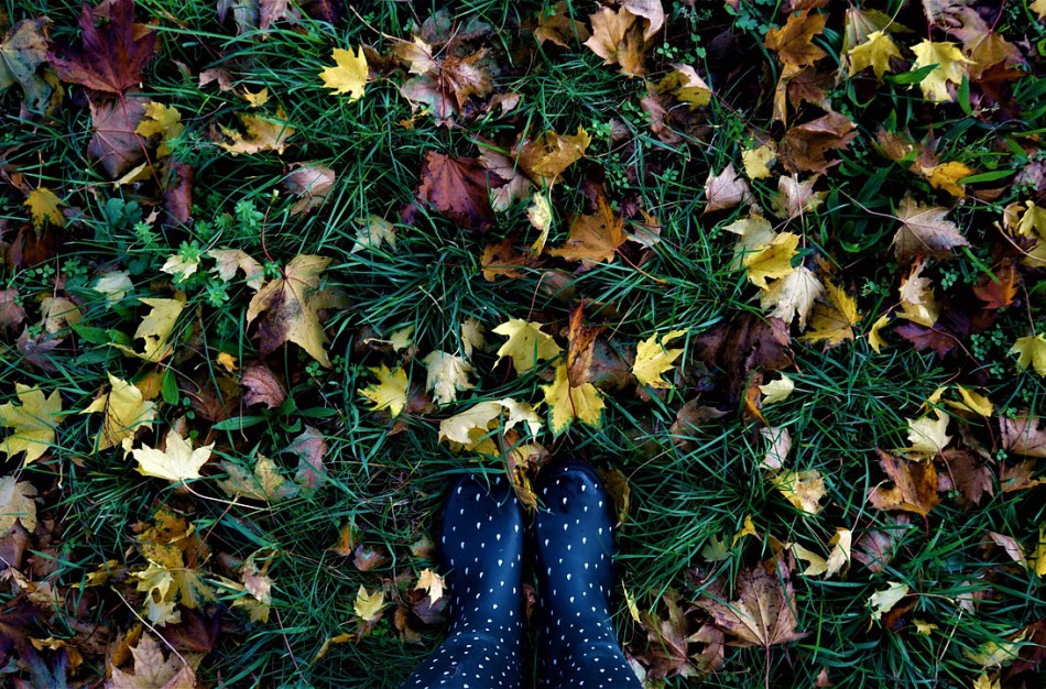 Rudens melacholija: kaip sezoniniai pokyčiai veikia mūsų nervų sistemą?