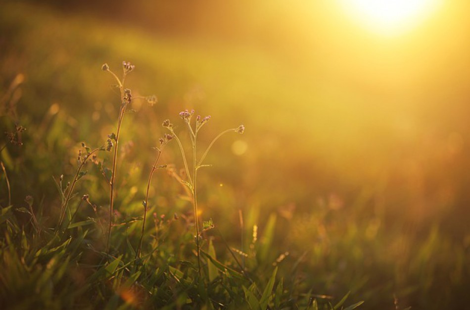 Meteorologai fiksuoja septintą šilumos rekordą rugsėjo mėnesį