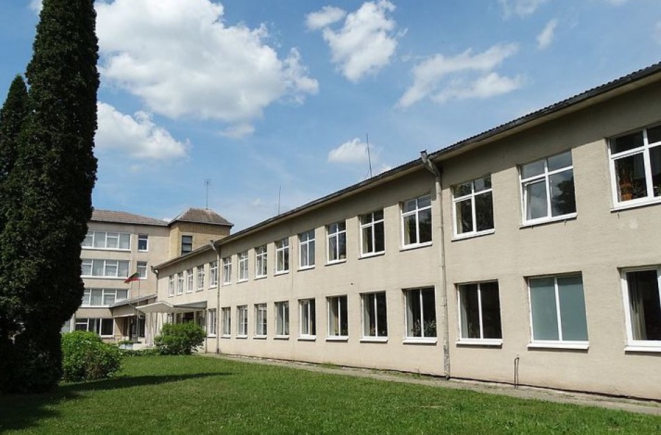 Renovuojant viešuosius pastatus, reikės įrengti ir priedangas, ir saulės elektrinę