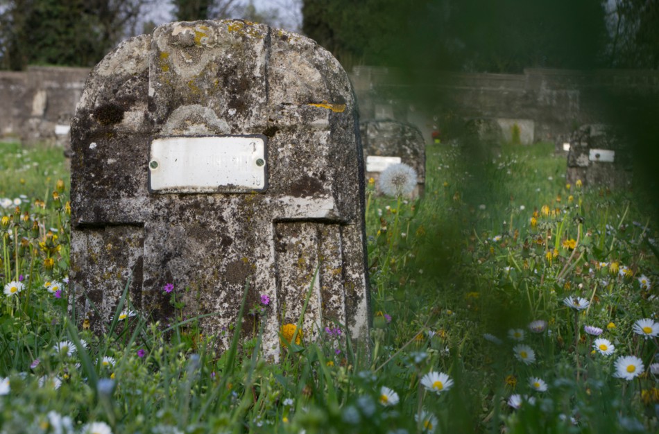 Neprižiūrimos kapavietės: kaip galima tapti oficialiais jų prižiūrėtojais ir kada leidžiama jose laidoti palaikus