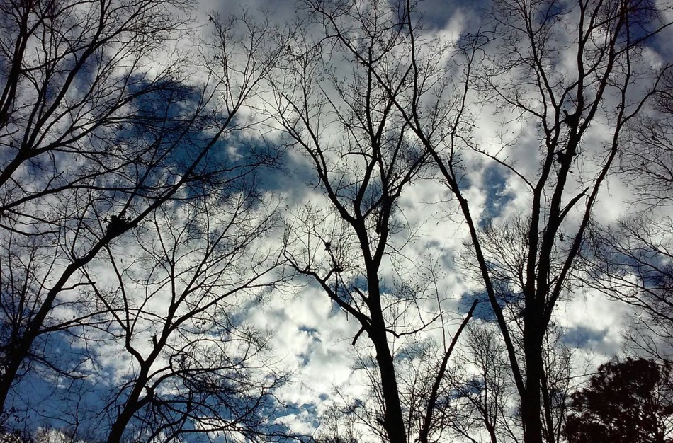 Kaip pasirūpinti saugumu pučiant stipriam vėjui