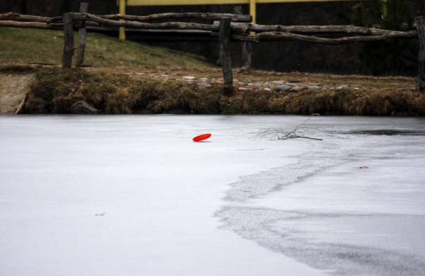 Žiemos čempionato nugalėtojas – svečias iš Estijos