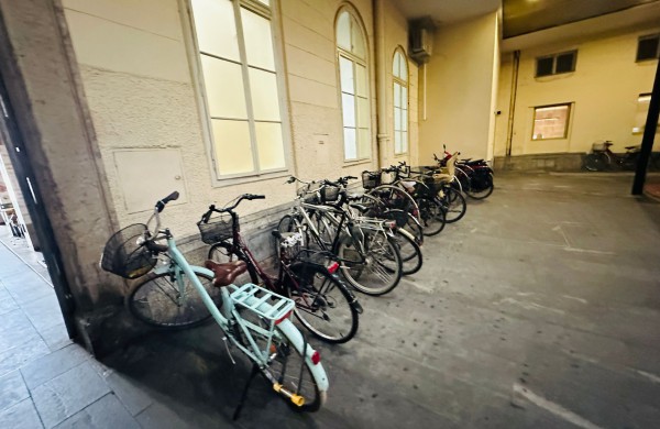 Darbo savaitė Slovėnijoje: žvilgsnis į skaitančios šalies bibliotekų kasdienybę 