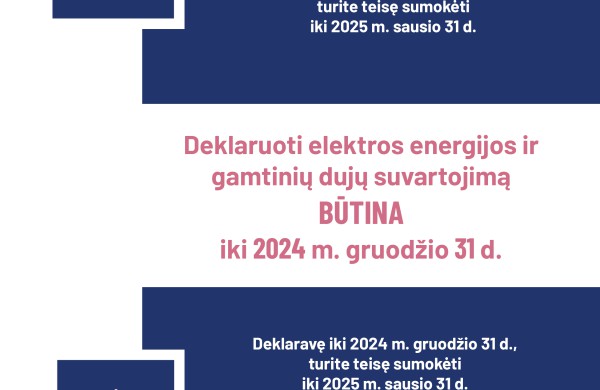 VERT primena – elektros ir dujų suvartojimą deklaruokite iki 2024 m. gruodžio 31 d. imtinai