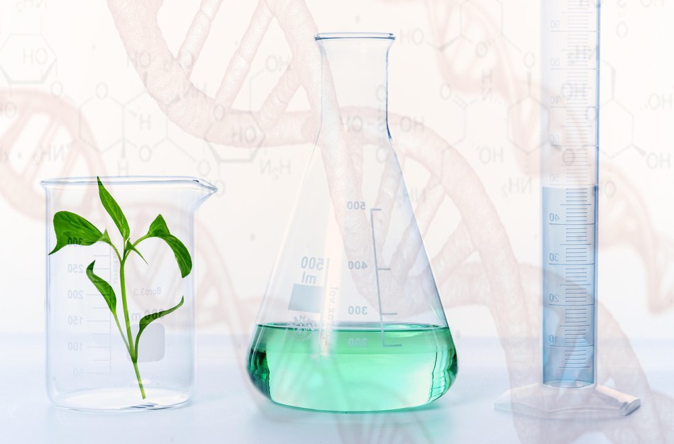 Įsigalios Orhuso konvencijos pakeitimas dėl GMO