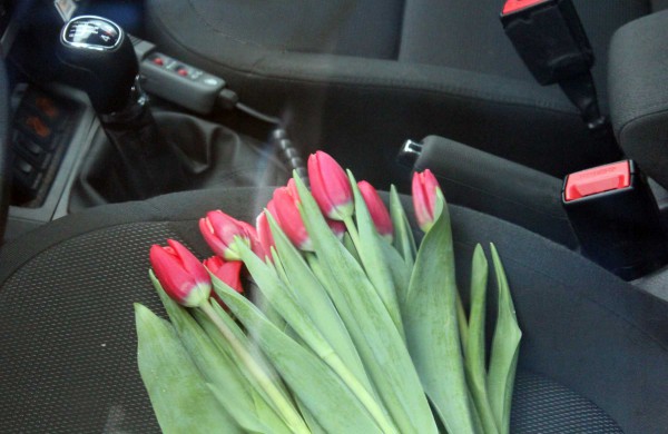 Vietoje dokumentų patikrinimo – gėlės žiedas ir sveikinimai