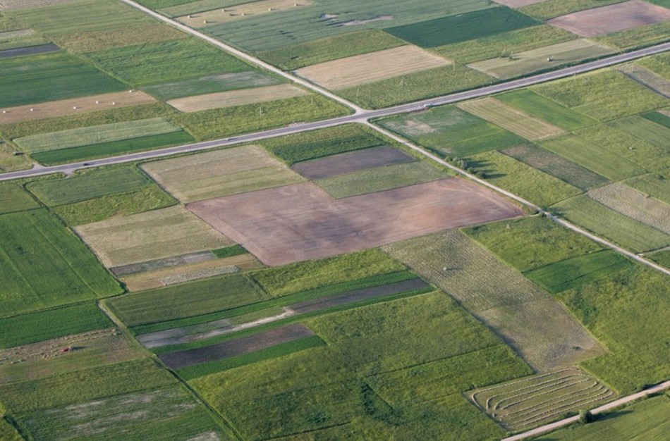 Valstybinės žemės įveiklinimas: per ketvirtį – 15 mln. eurų grąža valstybei ir savivaldybėms