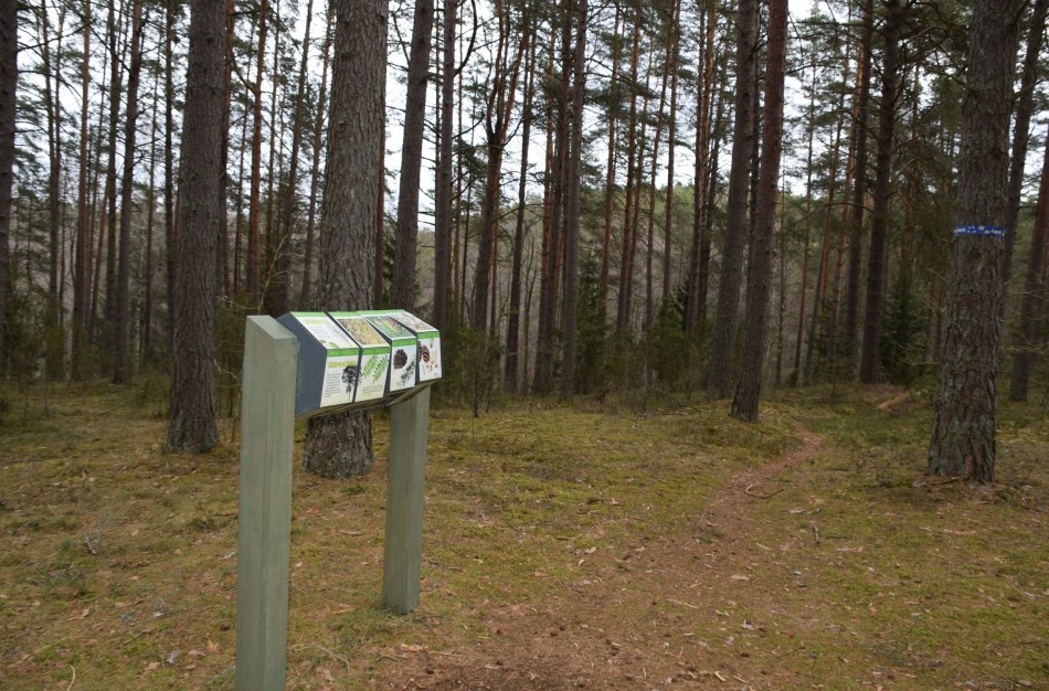 „Užmesk akį" į Meironių pažintinį taką