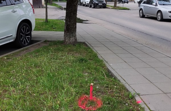 Parko gatvės gyventojų nerimas: kas vyksta su raudonais kuoliukais ir kas bus su medžiais?