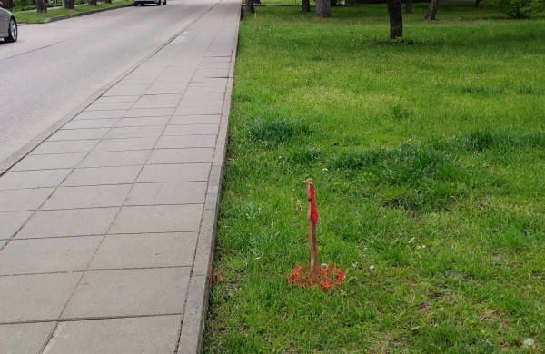 Parko gatvės gyventojų nerimas: kas vyksta su raudonais kuoliukais ir kas bus su medžiais?