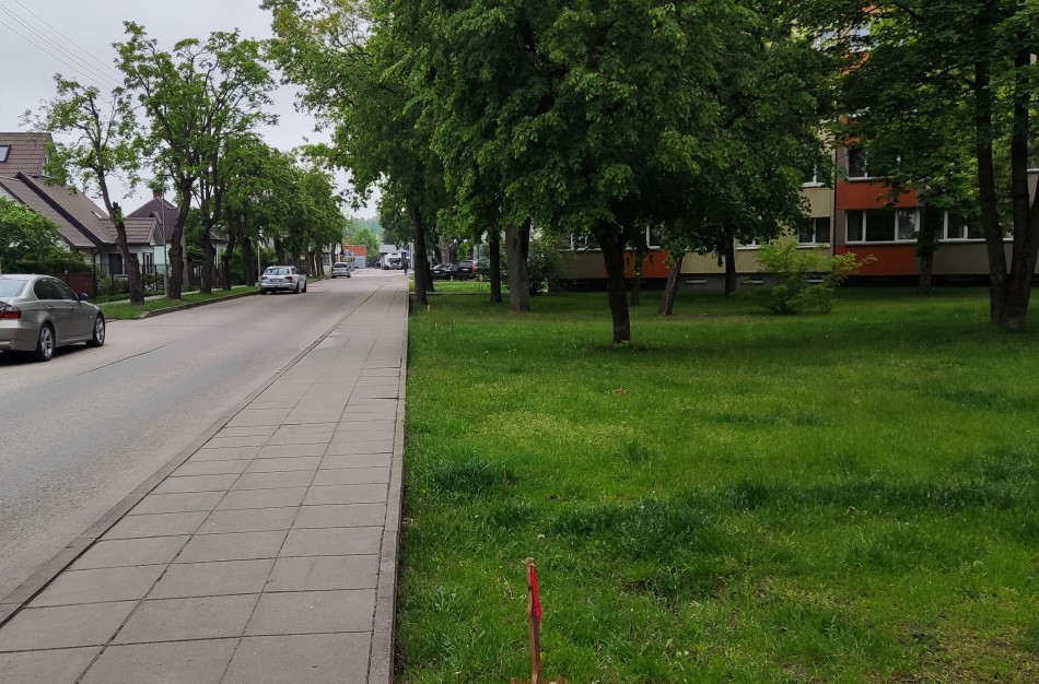 Parko gatvės gyventojų nerimas: kas vyksta su raudonais kuoliukais ir kas bus su medžiais?