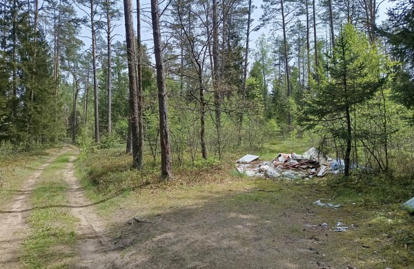 Miškai it sąvartynai: aplinkosaugos dienos proga miškininkai skelbia šokiruojančius skaičius 