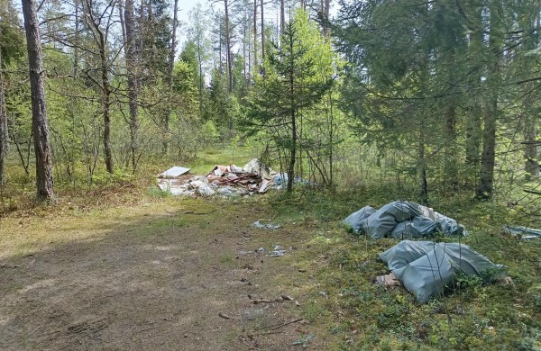 Miškai it sąvartynai: aplinkosaugos dienos proga miškininkai skelbia šokiruojančius skaičius 