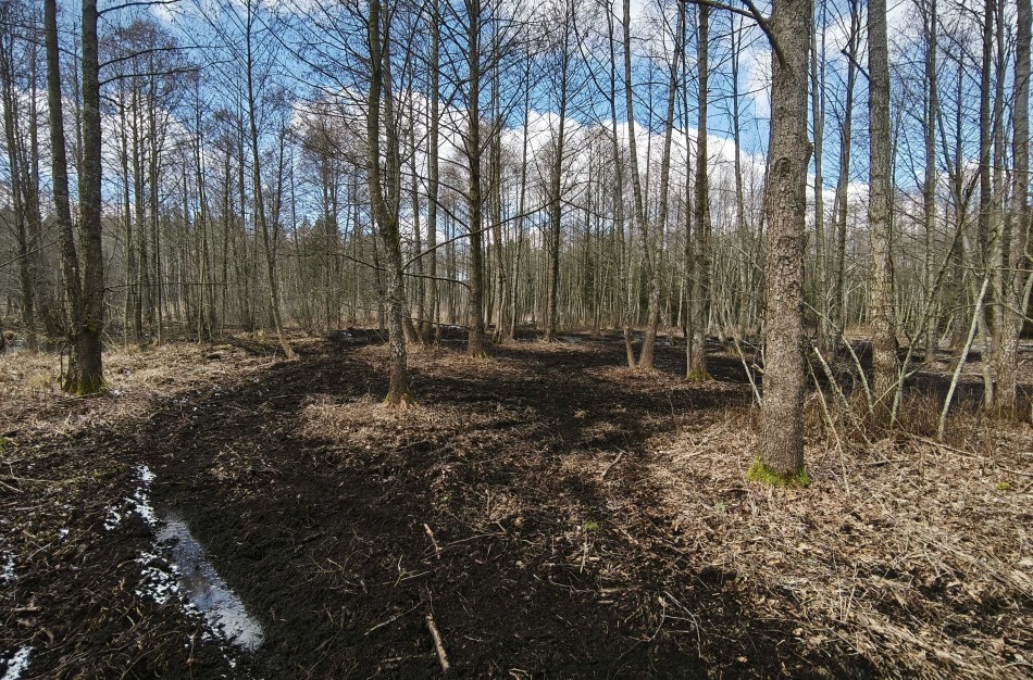 Miškas – ne trasa: Už taisyklių nesilaikymą taikoma atsakomybė