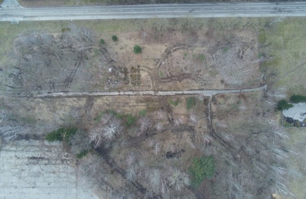 Lietuva stiprina užsieniečių priėmimo ir integracijos sistemą: pokyčiai visoje šalyje