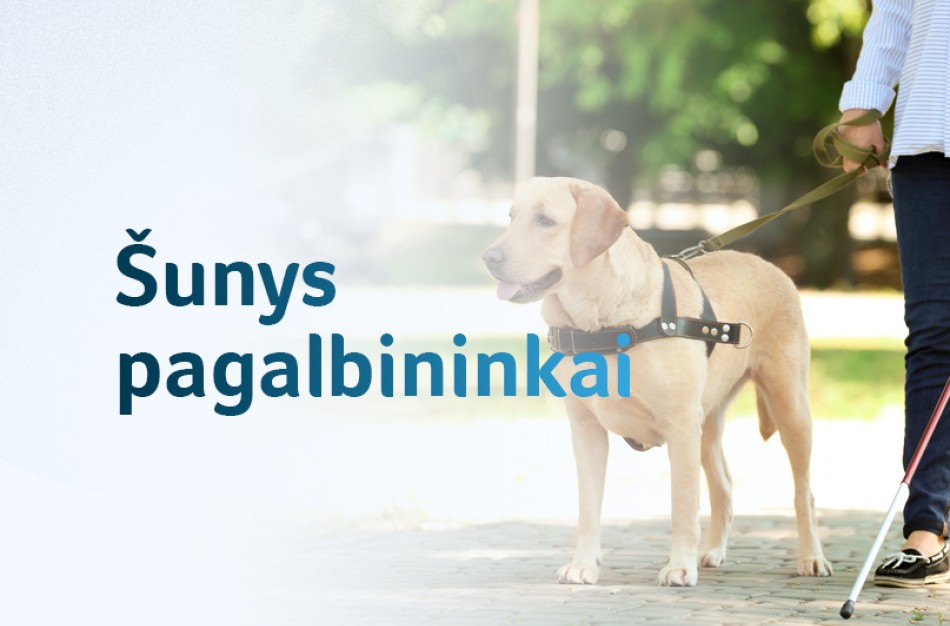 Svarbūs pokyčiai dėl šunų pagalbininkų: SADM siūlo įstatymų pataisas