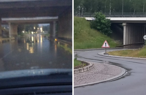 Liūtys tikrina kelininkų budrumą
