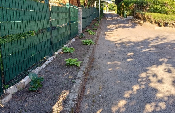 Šlaito gatvės gyventojai lyg užburtame rate: krūmai užstoja matomumą, bet „grožis svarbiau už saugumą“?