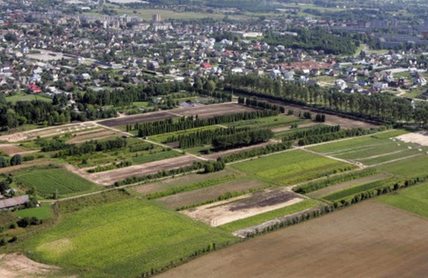 Valstybinės žemės įveiklinimas viršija planą: per pusmetį valstybės ir savivaldybių biudžetai papildyti 27,03 mln. eurų