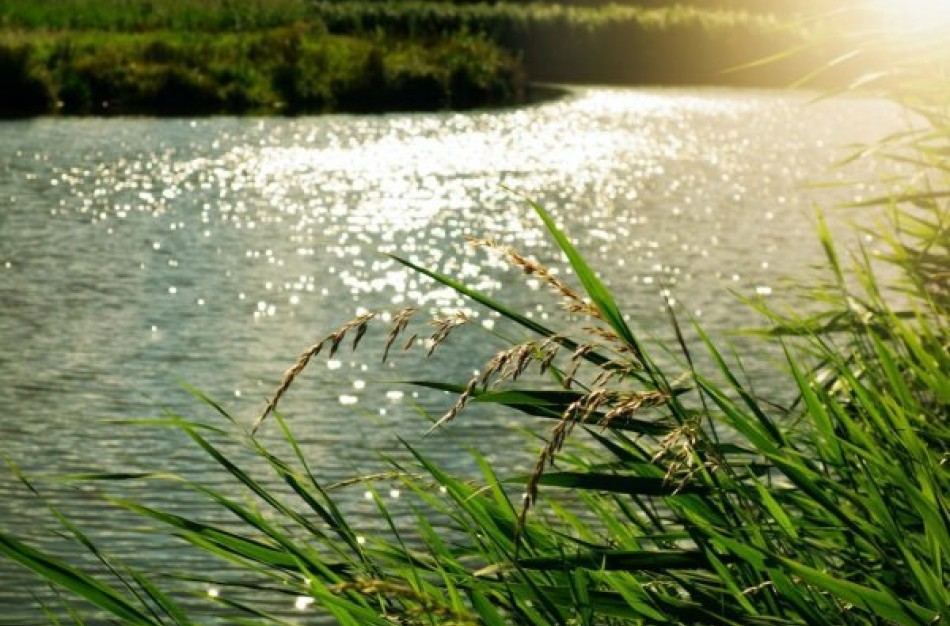Užusalių, Jonavos III (Gulbių) tvenkiniuose ir Neries upėje maudytis nerekomenduojama