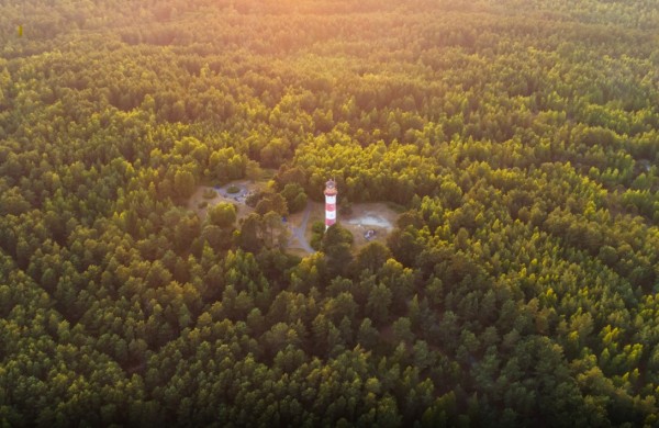 Miškų politika be mitų: faktai apie kirtimus ir apsaugą