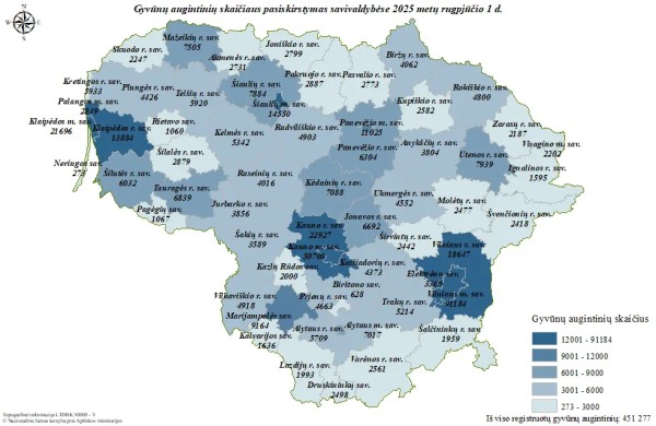 Kokie augintiniai populiariausi Jonavos rajone? Ko daugiau – šunų ar kačių?