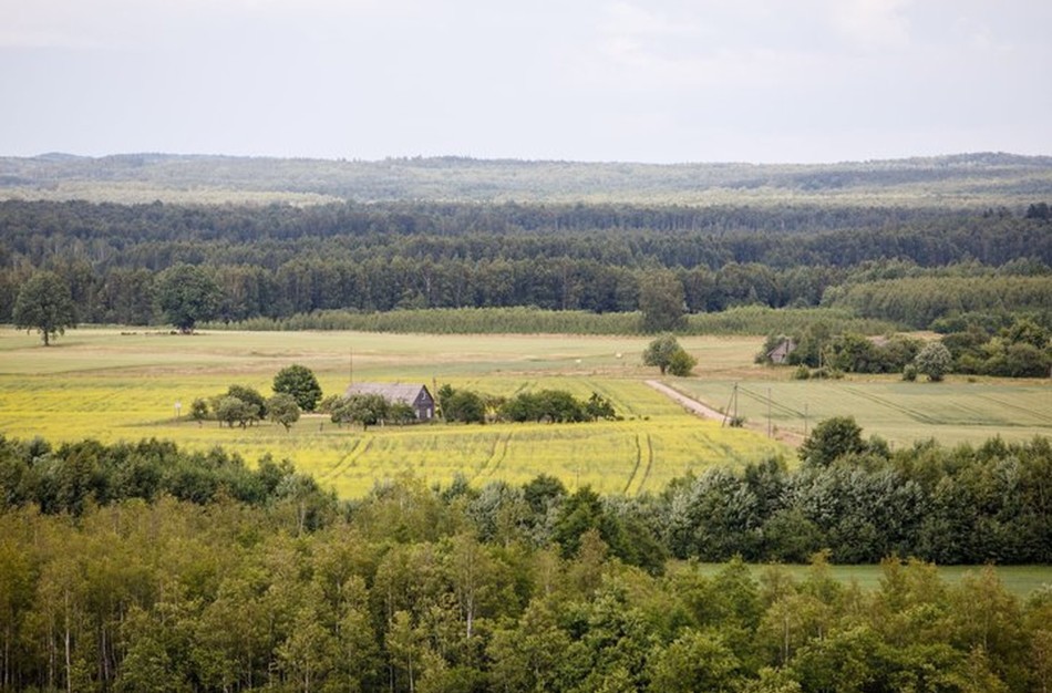 Vyriausybė pritarė siūlymui visą valstybinę žemę perduoti savivaldai