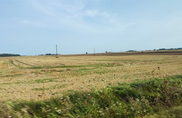 Baisus dvokas Jonavoje sukėlė gyventojų pasipiktinimą: tarnybos pateikia atsakymus